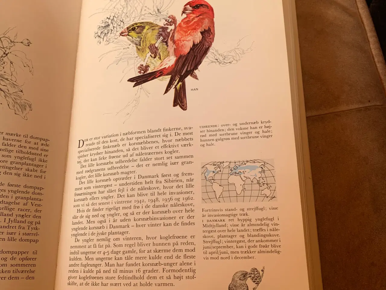 Billede 3 - Atlas og Bog Fugle liv i Danmark 