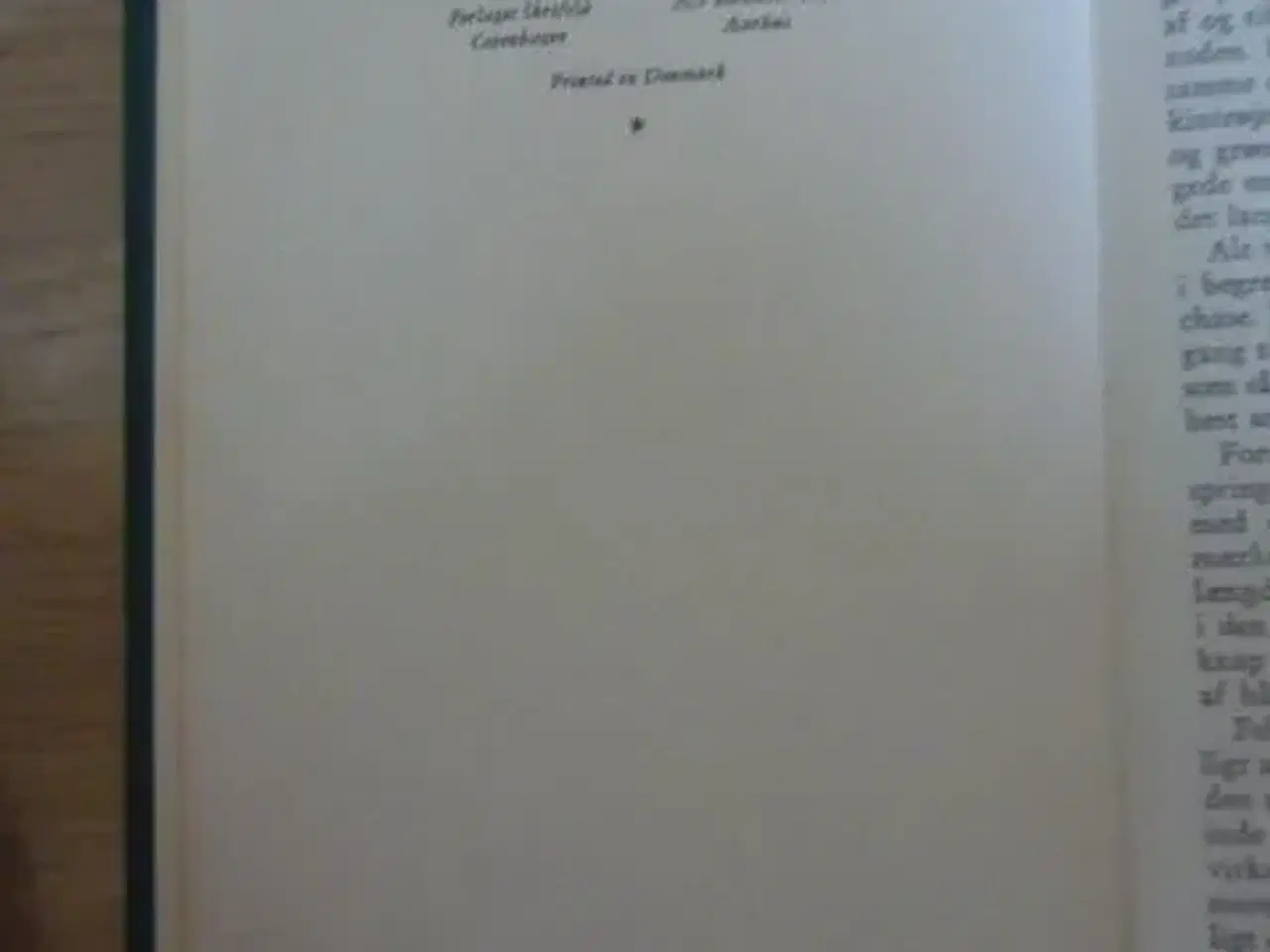 Billede 3 - Død - sikker vinder