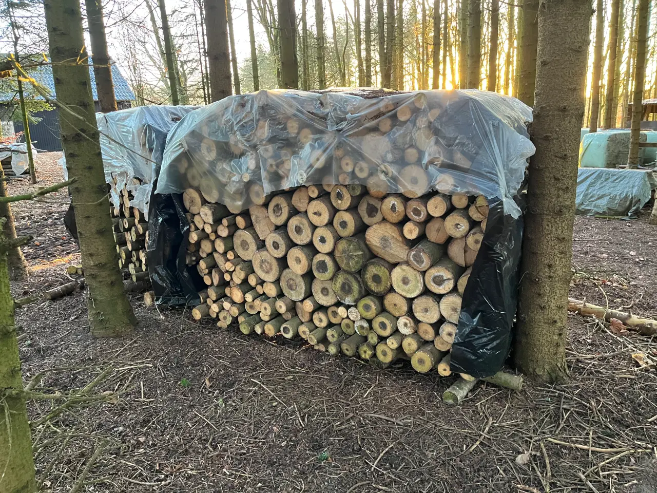 Billede 4 - brænde