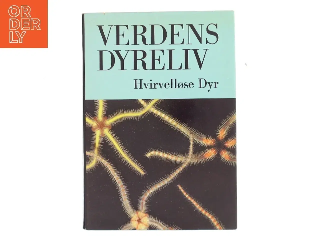 Billede 1 - Verdens Dyreliv: Hvirvelløse Dyr af <Bog ikke noget forfatter angivet< (Bog)
