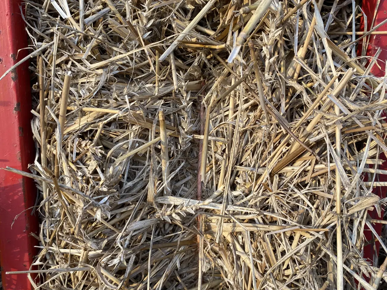 Billede 1 - Fint tørt halm