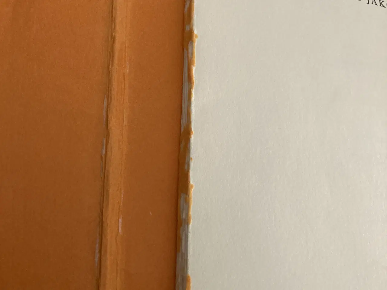 Billede 4 - Bog: Abraham, Isak og Jakob