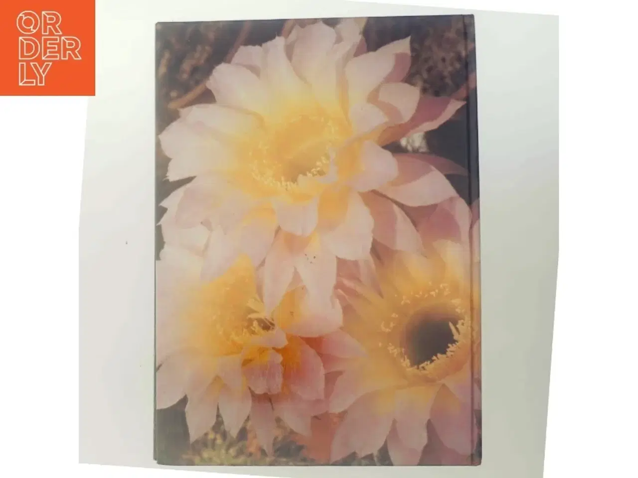 Billede 3 - Kaktus af Ukendt (Bog)