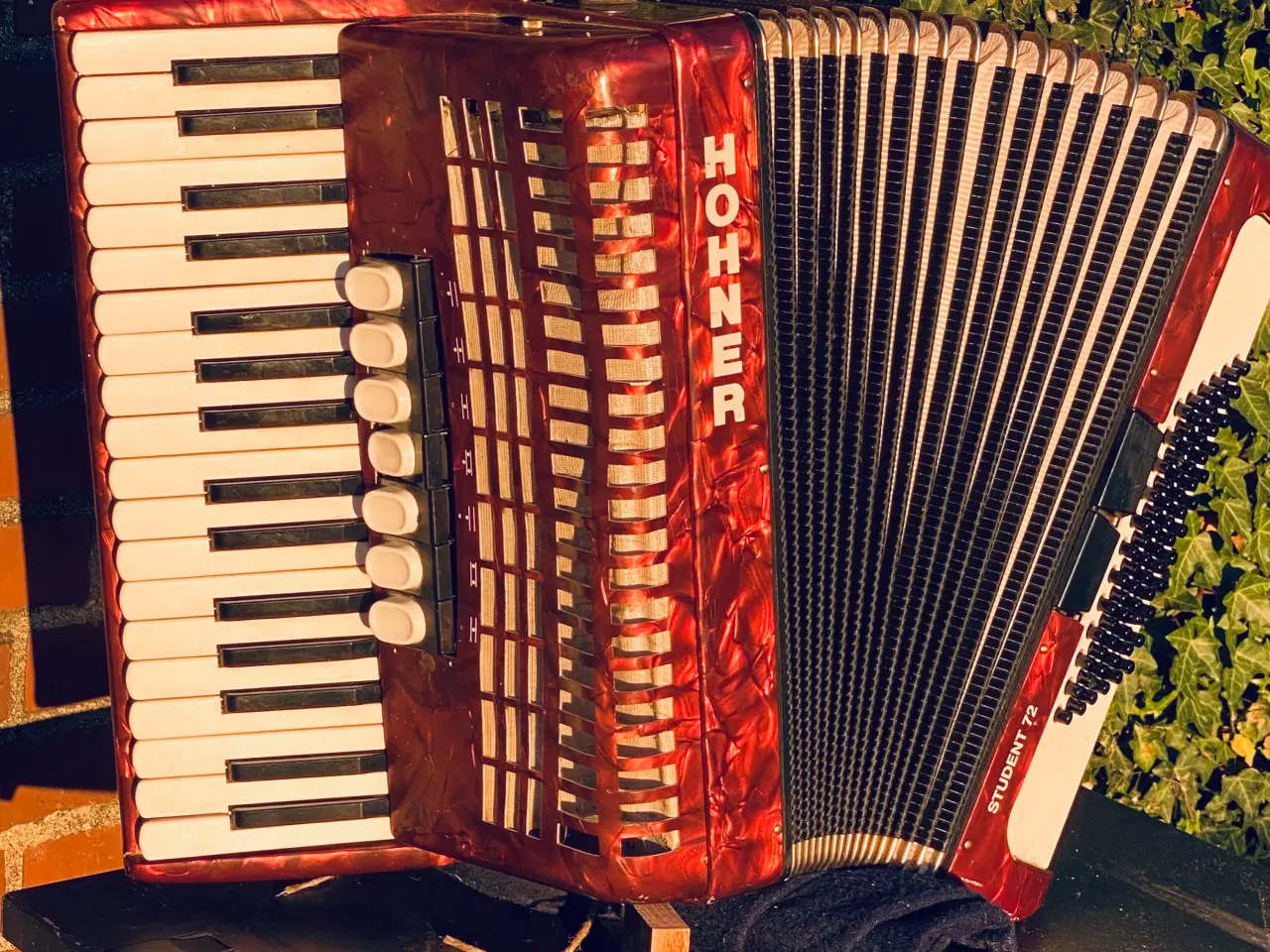 Billede 9 - Hohner Student 72 – solid og velspillende harmonik