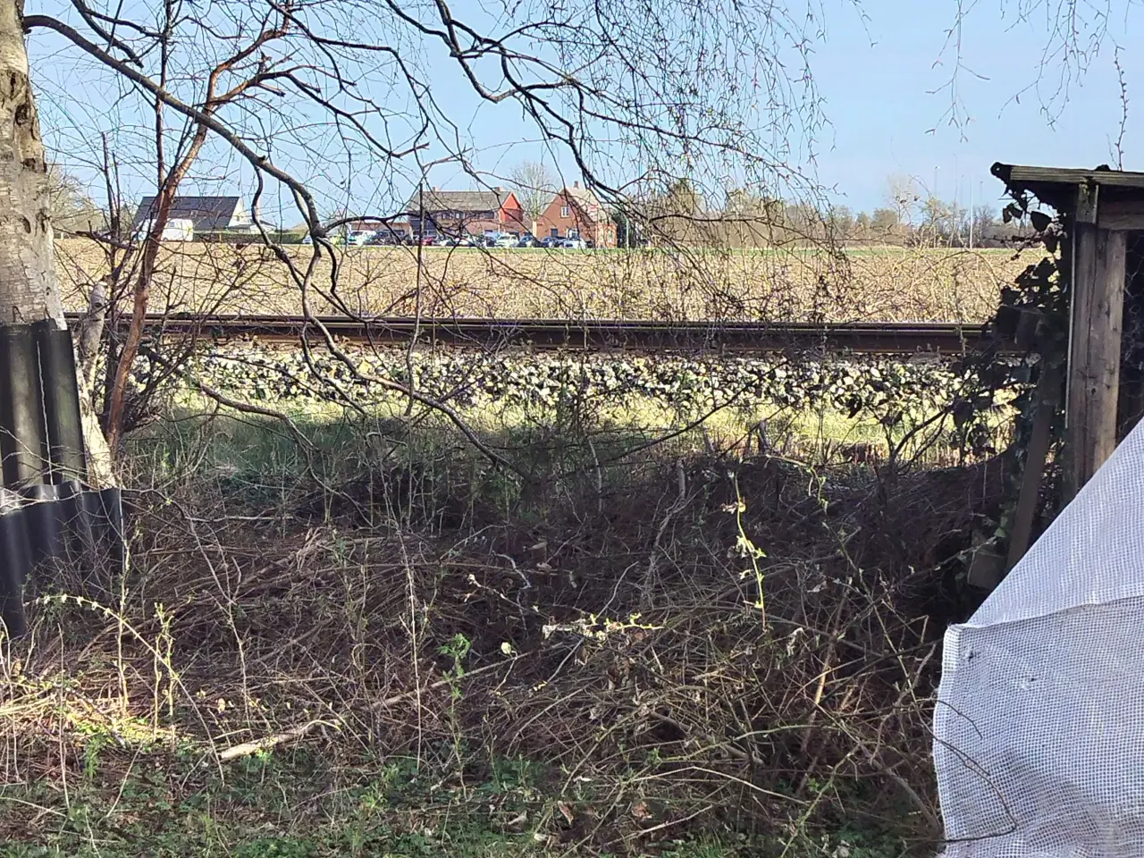 Billede 1 - Havemand søges 