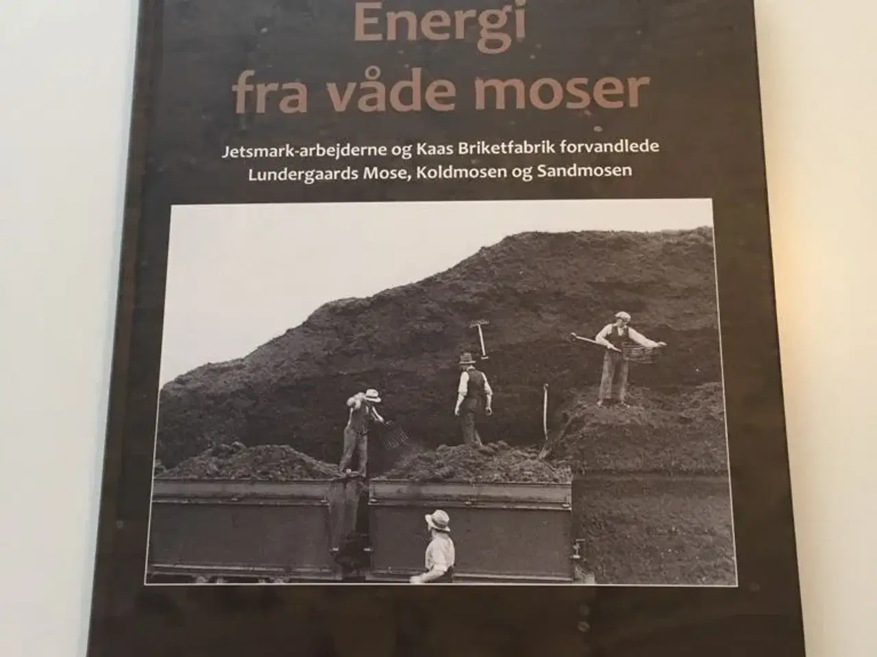 Billede 1 - Energi Fra Våde Moser