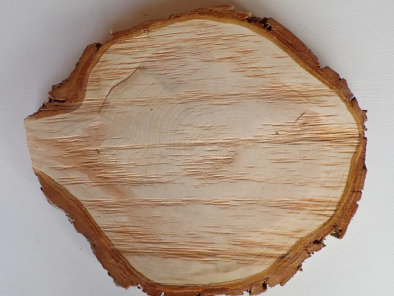 Billede 1 - NY Thuja Træskive med bark 32,5 cm lang