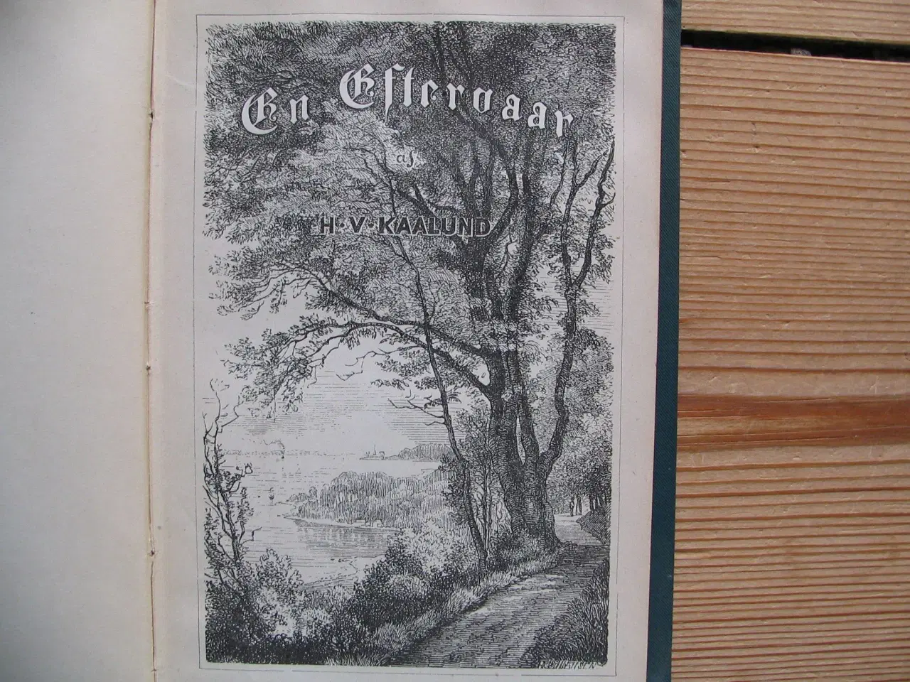 Billede 3 - H.V. Kaalund. En Eftervaar, fra 1889