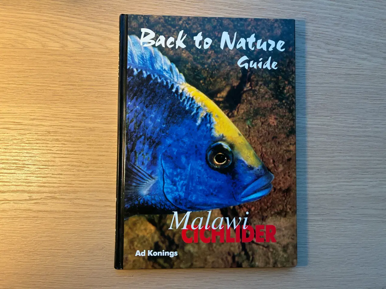 Billede 1 - Malawi Cichlider - Back to Nature Guide