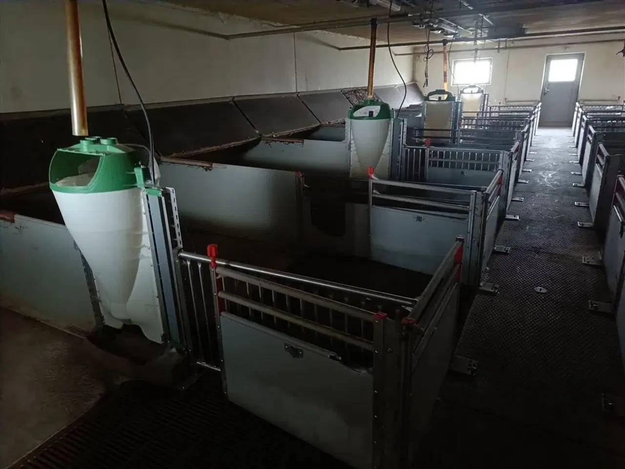 Billede 3 - - - - klima-/smågrise stier  16 stier MOMSFRI