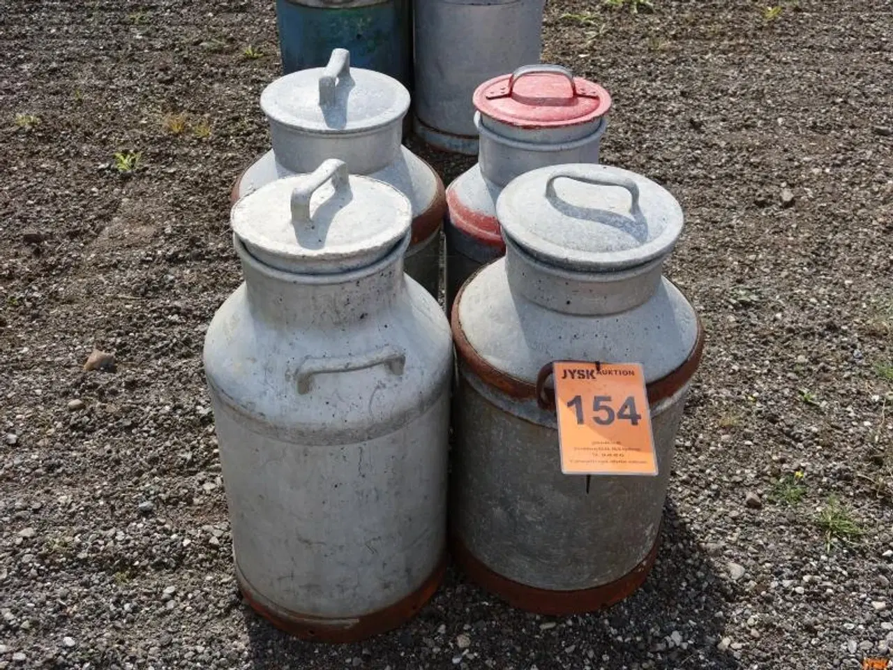 Billede 1 - MÆLKEJUNGER, 4