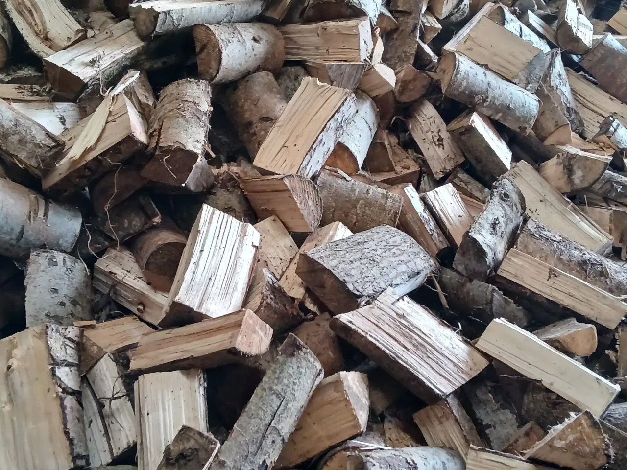 Billede 1 - Tørt løvtræ klar til fyrring