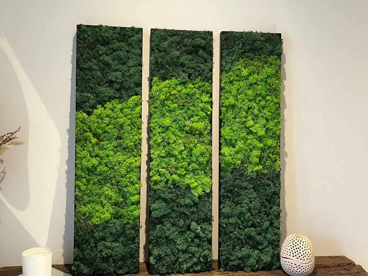 Billede 7 - Mos billeder vi laver 