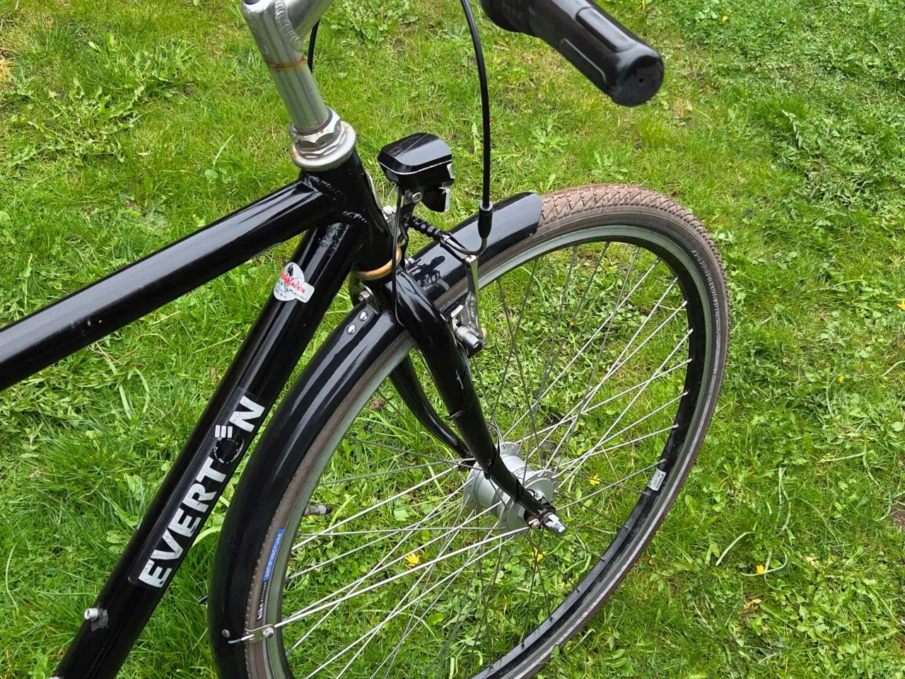 Billede 3 - EVERTON 53 cm 