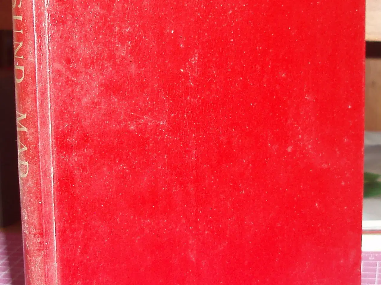 Billede 1 - Sund mad af Nora Thomsen