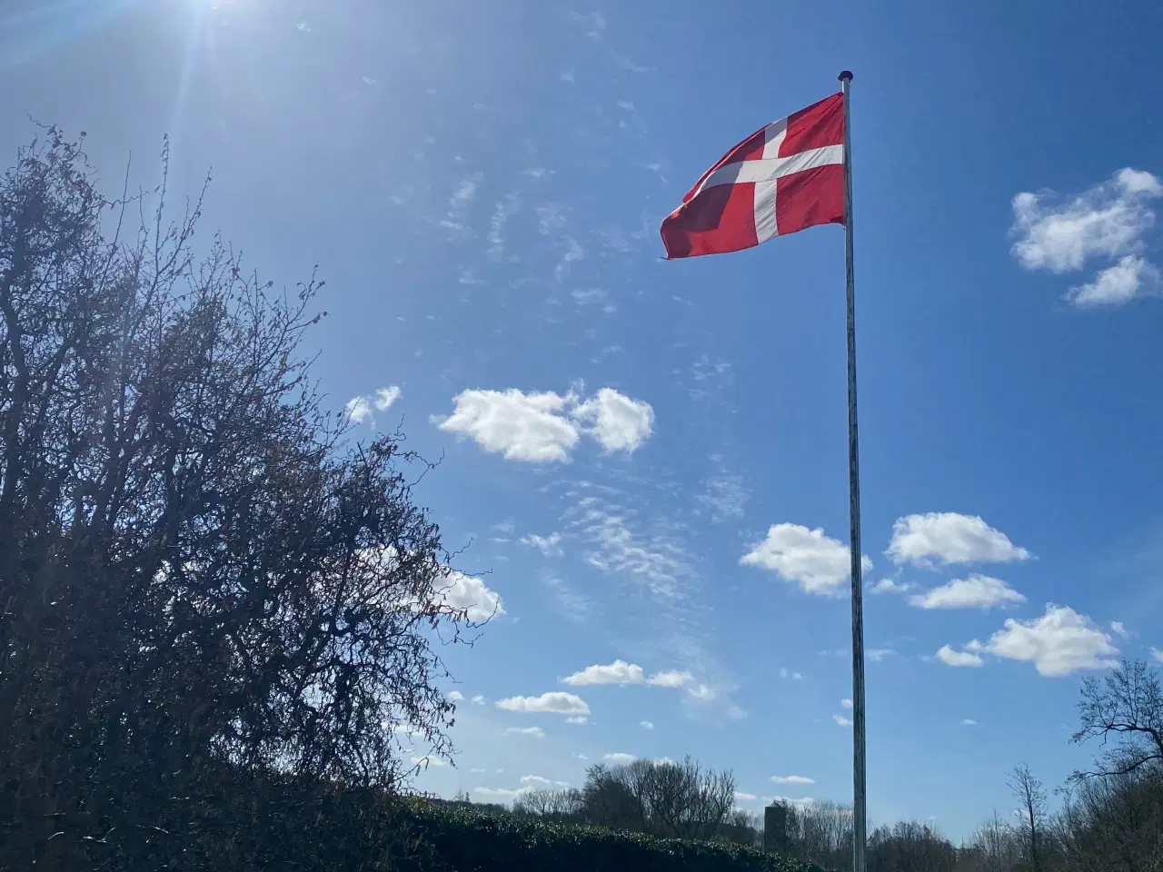 Billede 2 - Flag Dannebrog 225