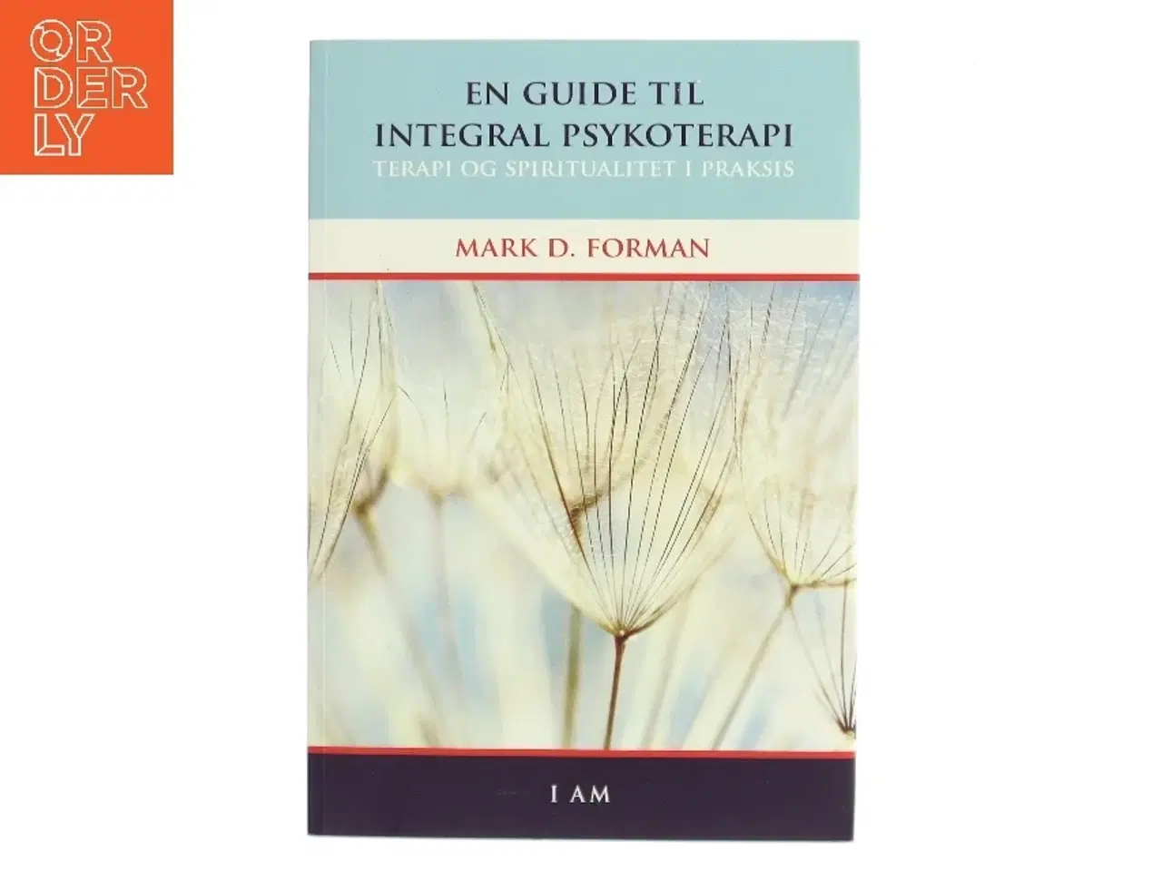Billede 1 - En guide til integral psykoterapi : terapi og spiritualitet i praksis af Mark D. Forman (Bog)