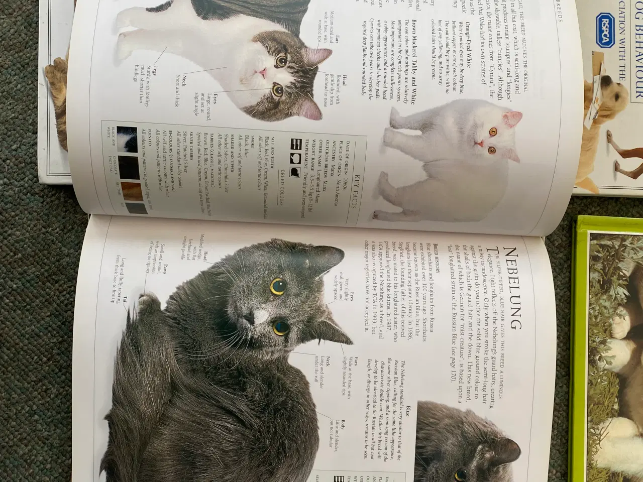 Billede 5 - Katte- og hunde bøger