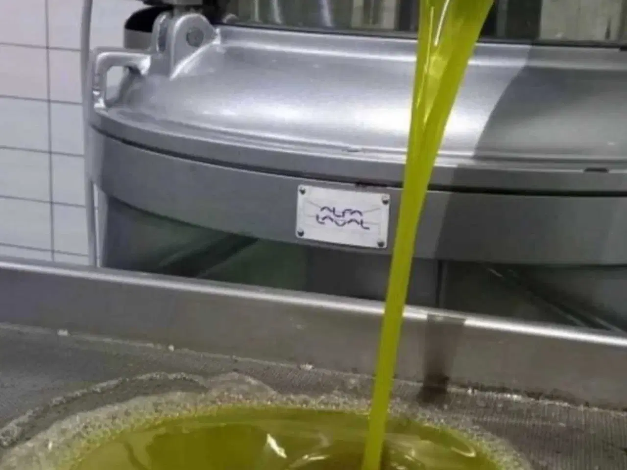 Billede 4 - Olivenolie