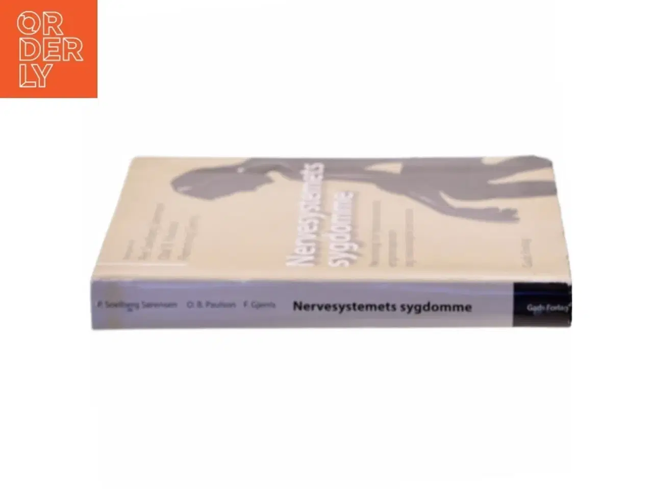 Billede 2 - Nervesystemets sygdomme : neurologi for fysioterapeuter, ergoterapeuter og andet neurologisk personale (Bog)