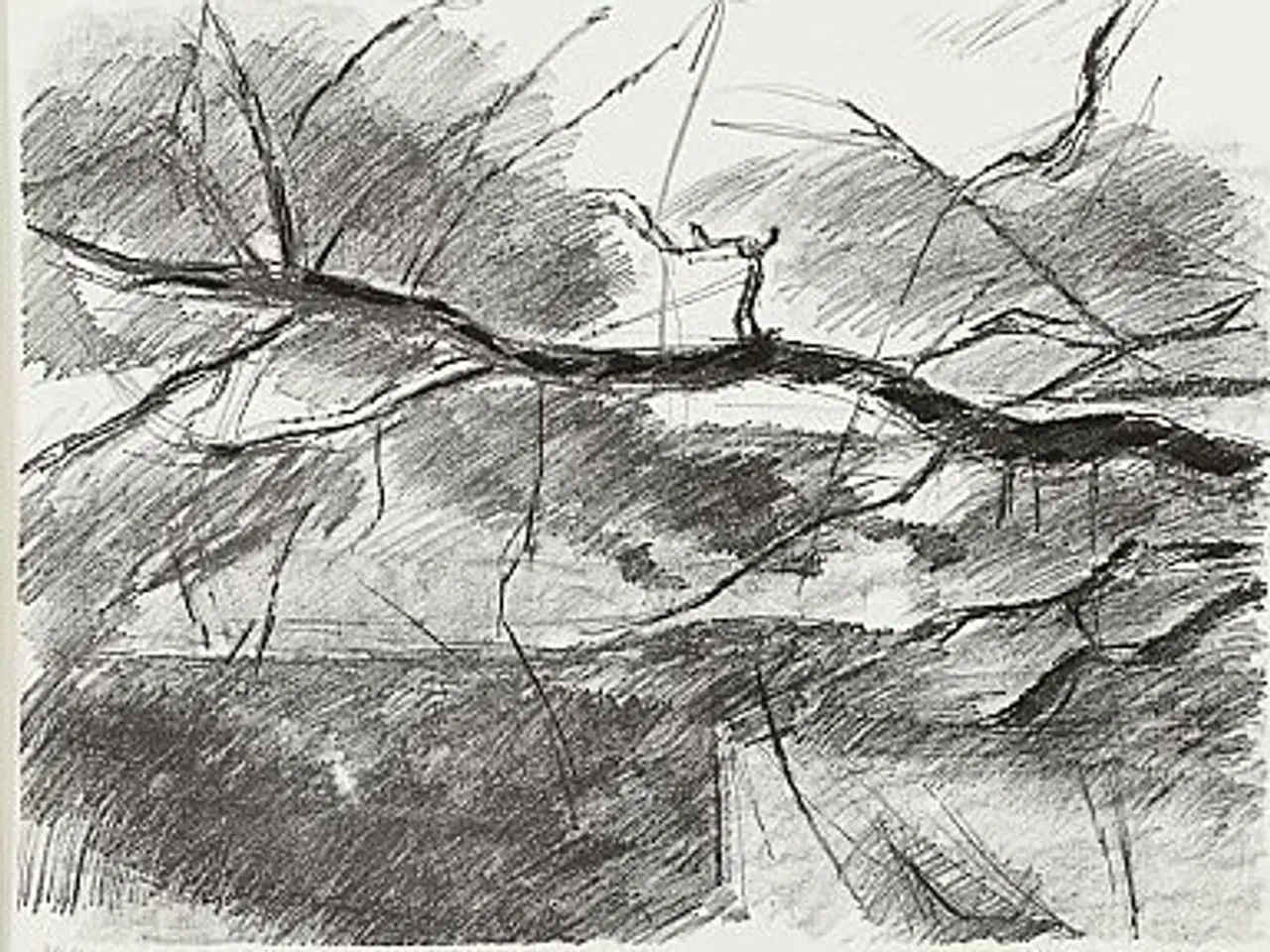 Billede 12 - Originale Farve Litografier