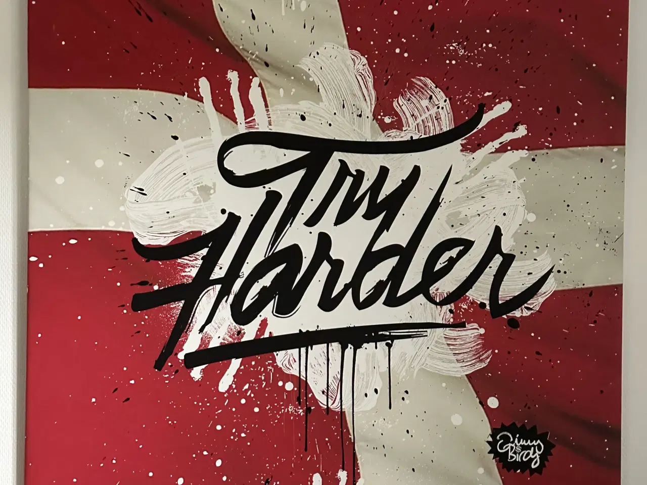 Billede 1 - Jimmy Birdy Billeder