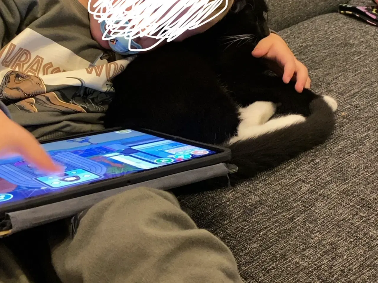 Billede 3 - Pelle søger kærligt hjem