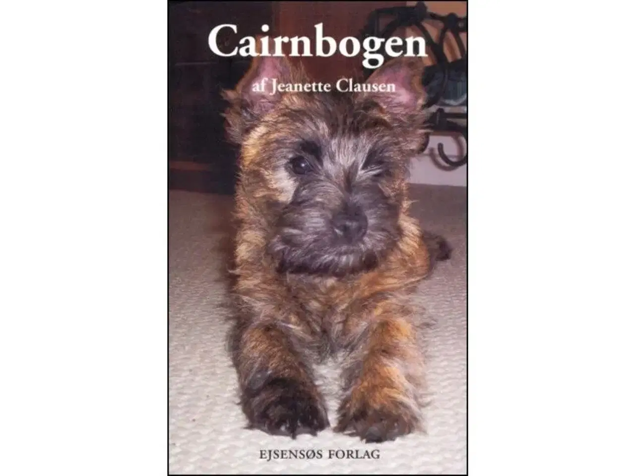 Billede 1 - Cairnbogen