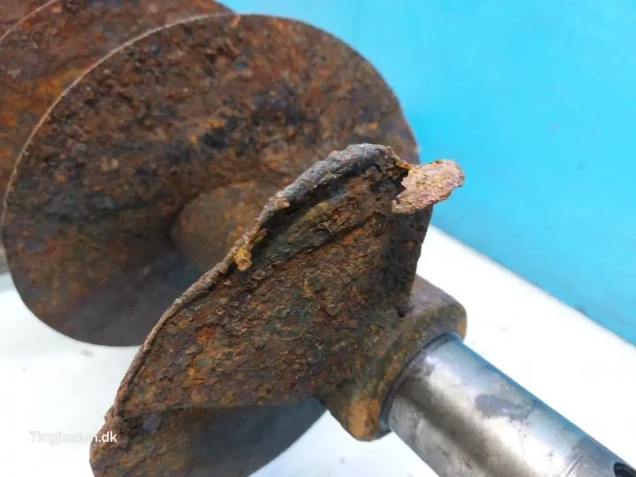 Billede 4 - Massey Ferguson 7278 Frøsnegl 28885556