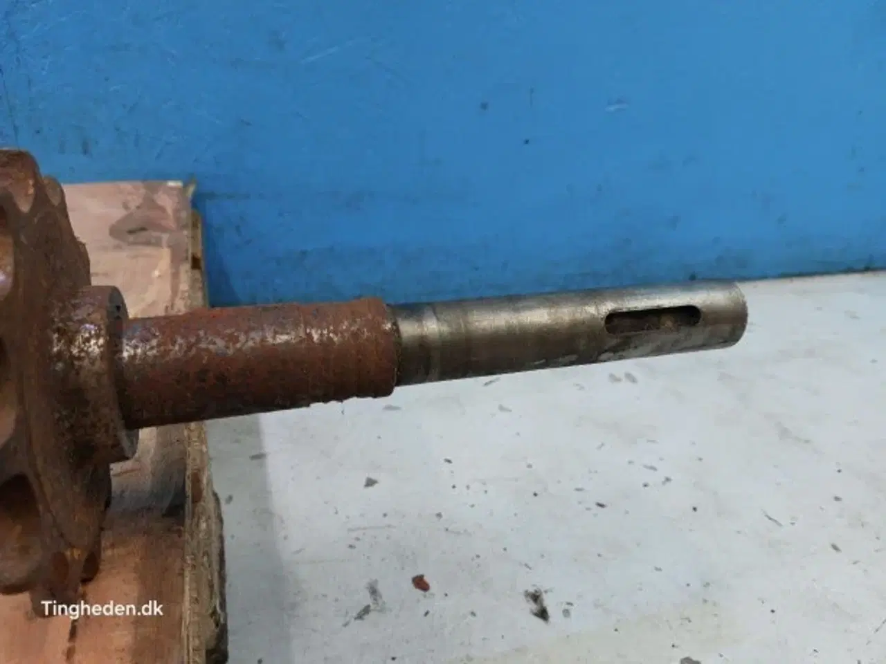 Billede 7 - Massey Ferguson 31 Aksel 28251751