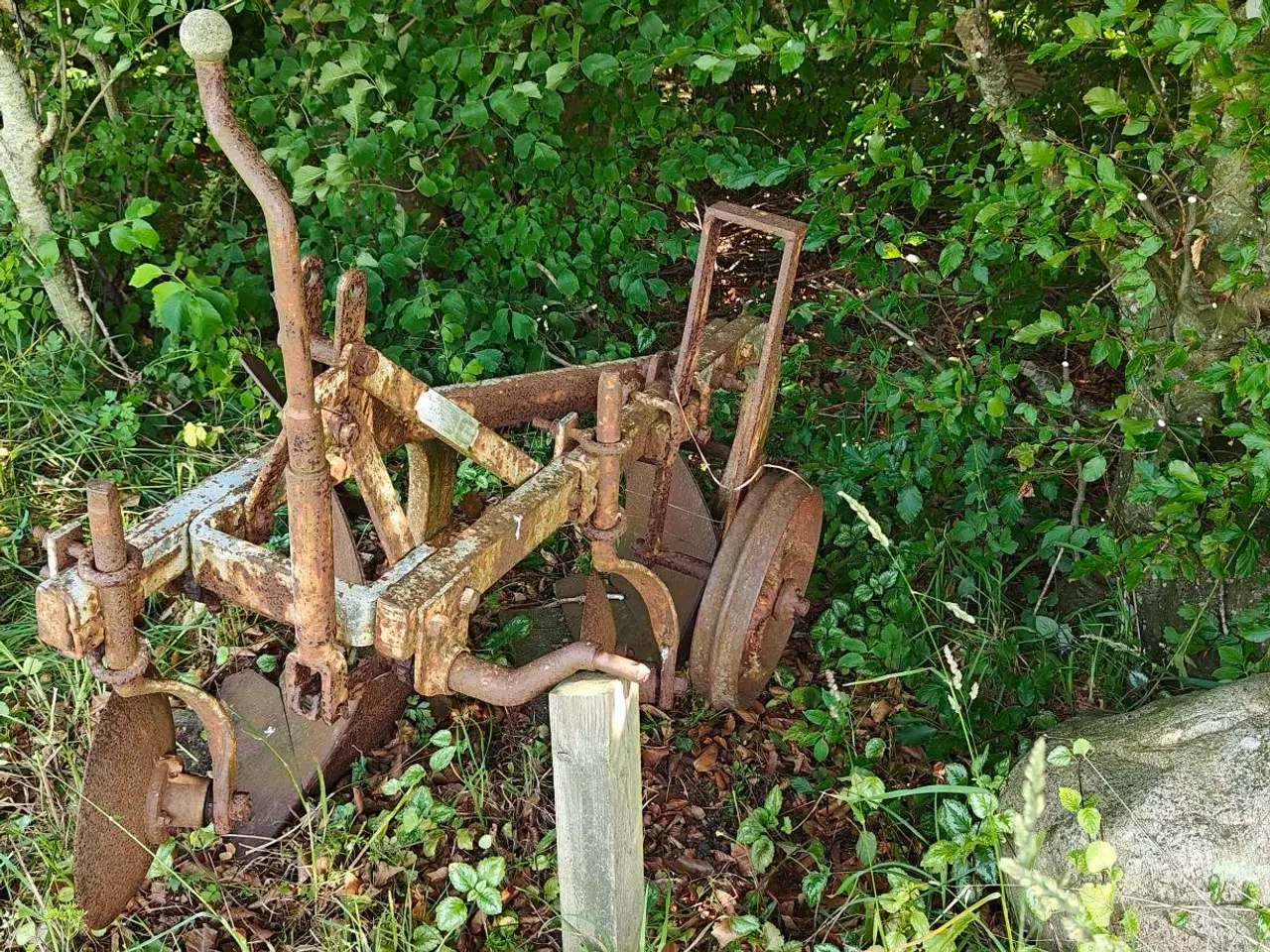 Billede 2 - Massey Ferguson 2-furet plov