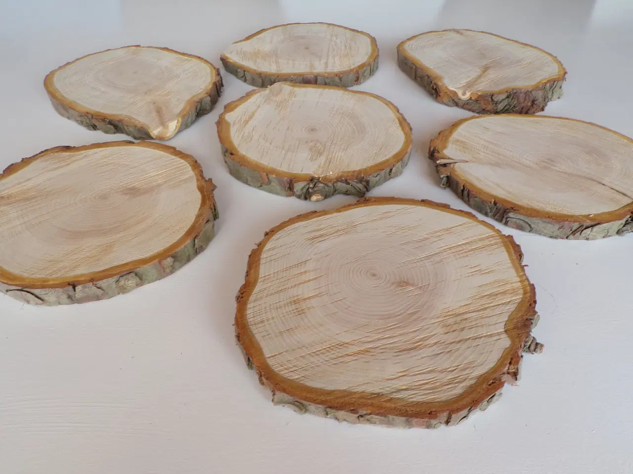 Billede 2 - NYE Thuja Træskiver med bark 22-23 cm 