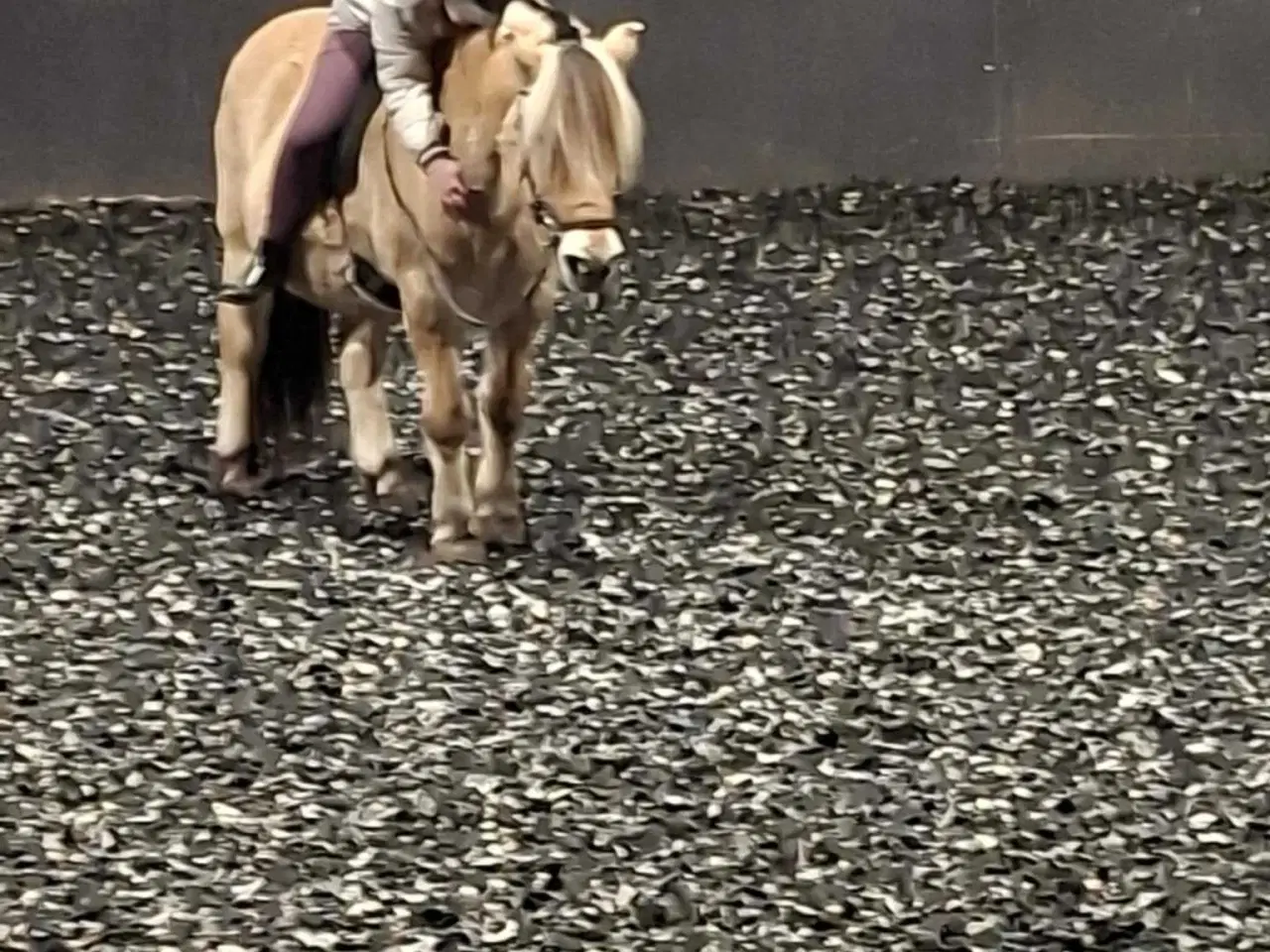 Billede 1 - Skovtur/hygge