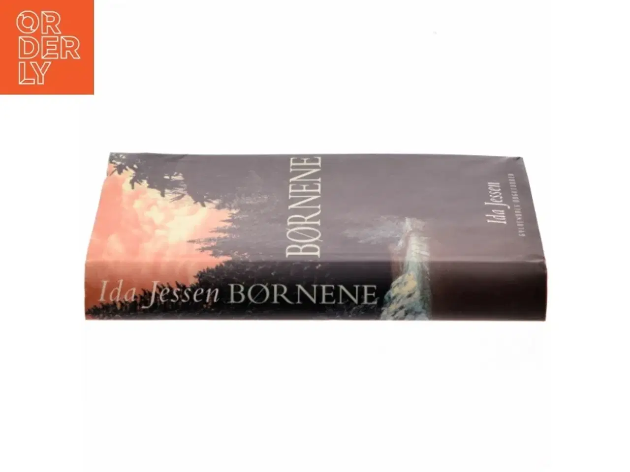 Billede 2 - Børnene af Ida Jessen (Bog)