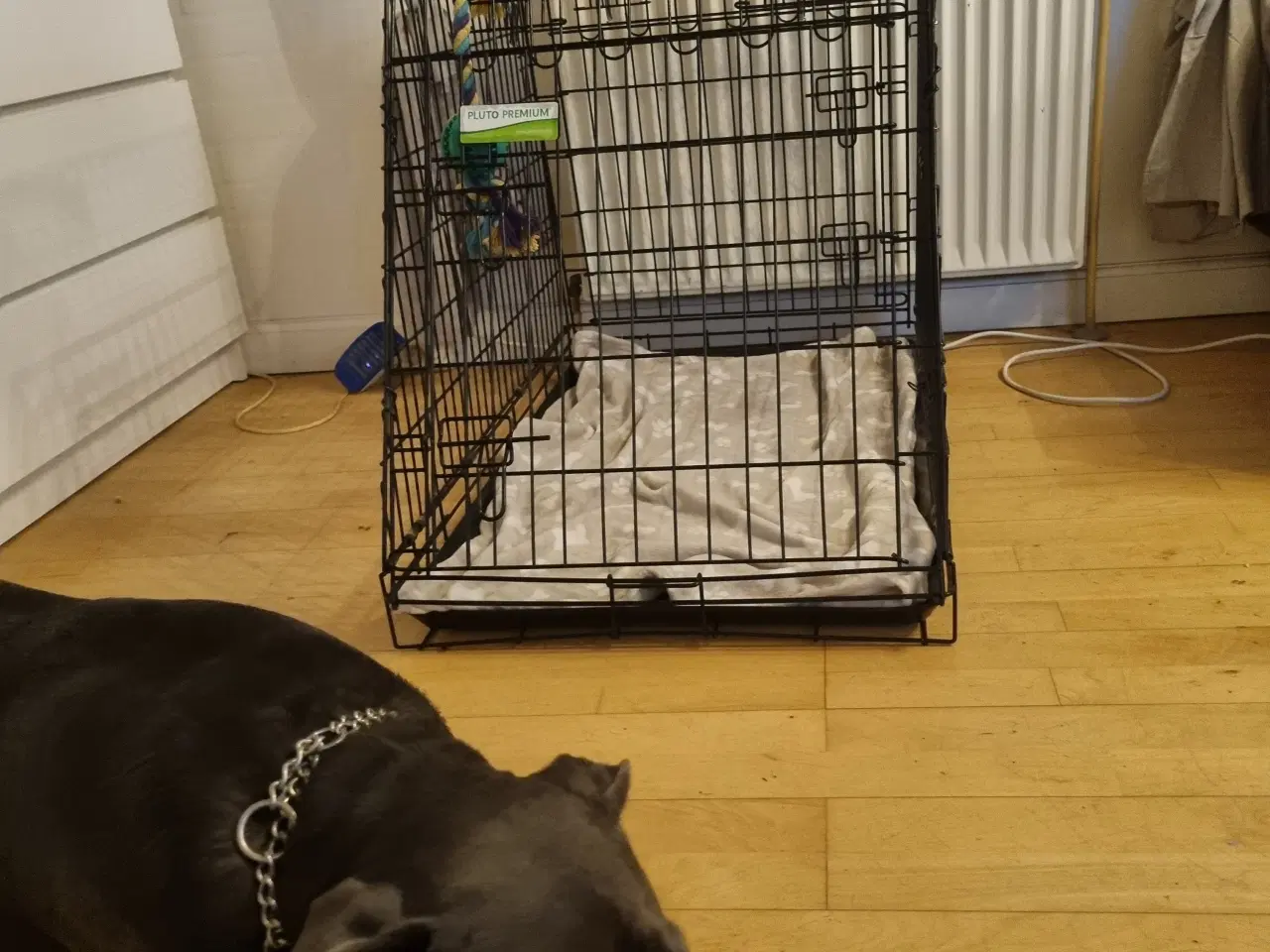 Billede 3 - Pluto premium Large bur