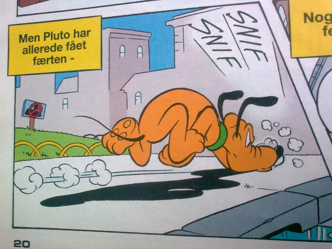 Billede 17 - Hundeskål i eller vagthund ved siden & hund TEMA