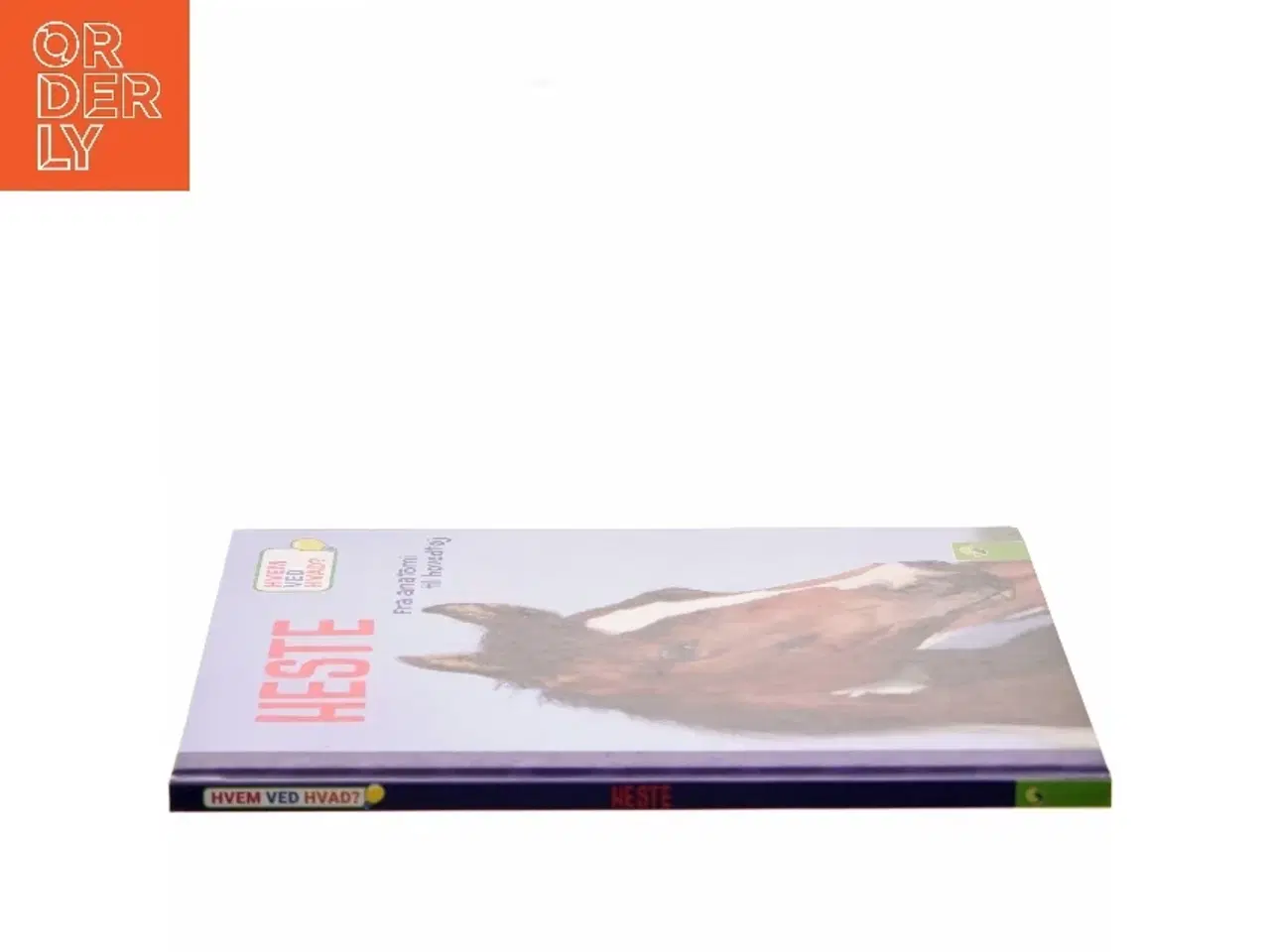 Billede 2 - HVEM VED HVAD? - HESTE - fra anatomi til hovedtøj af Susanne Gernhäuser (Bog)