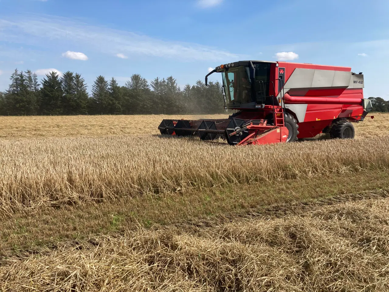 Billede 1 - Massey Ferguson mejetærsker 22 fod. 