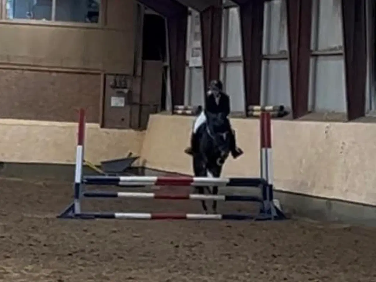 Billede 15 - Allround 2’er pony søger sin nye familie 