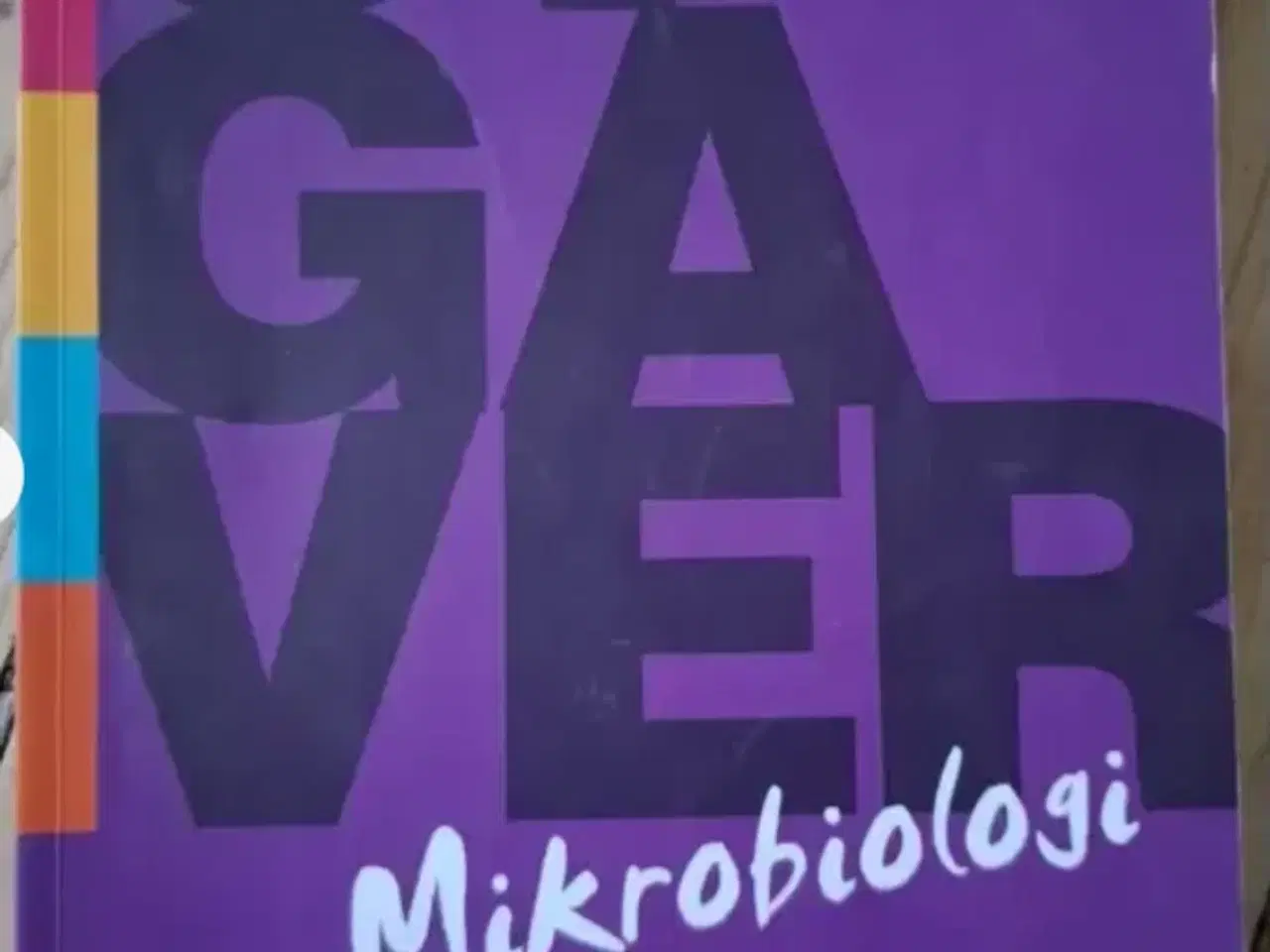 Billede 2 - Mikrobiologi - Hånden på hjertet