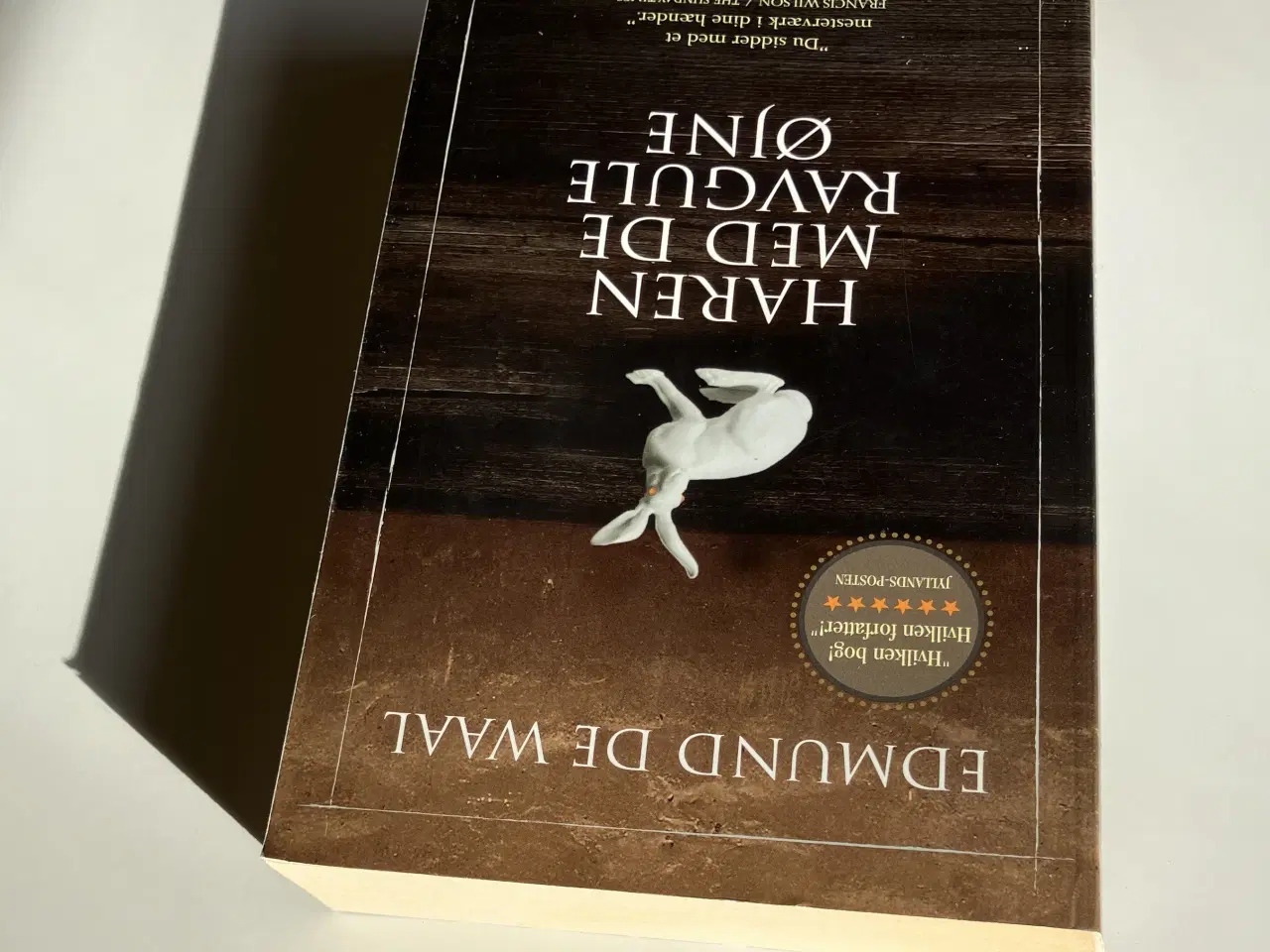 Billede 5 - Haren med de ravgule øjne - en skjult arv. Af Edmu