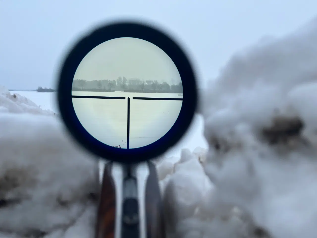 Billede 3 - Bochbüchsflinte, kombinationsvåben