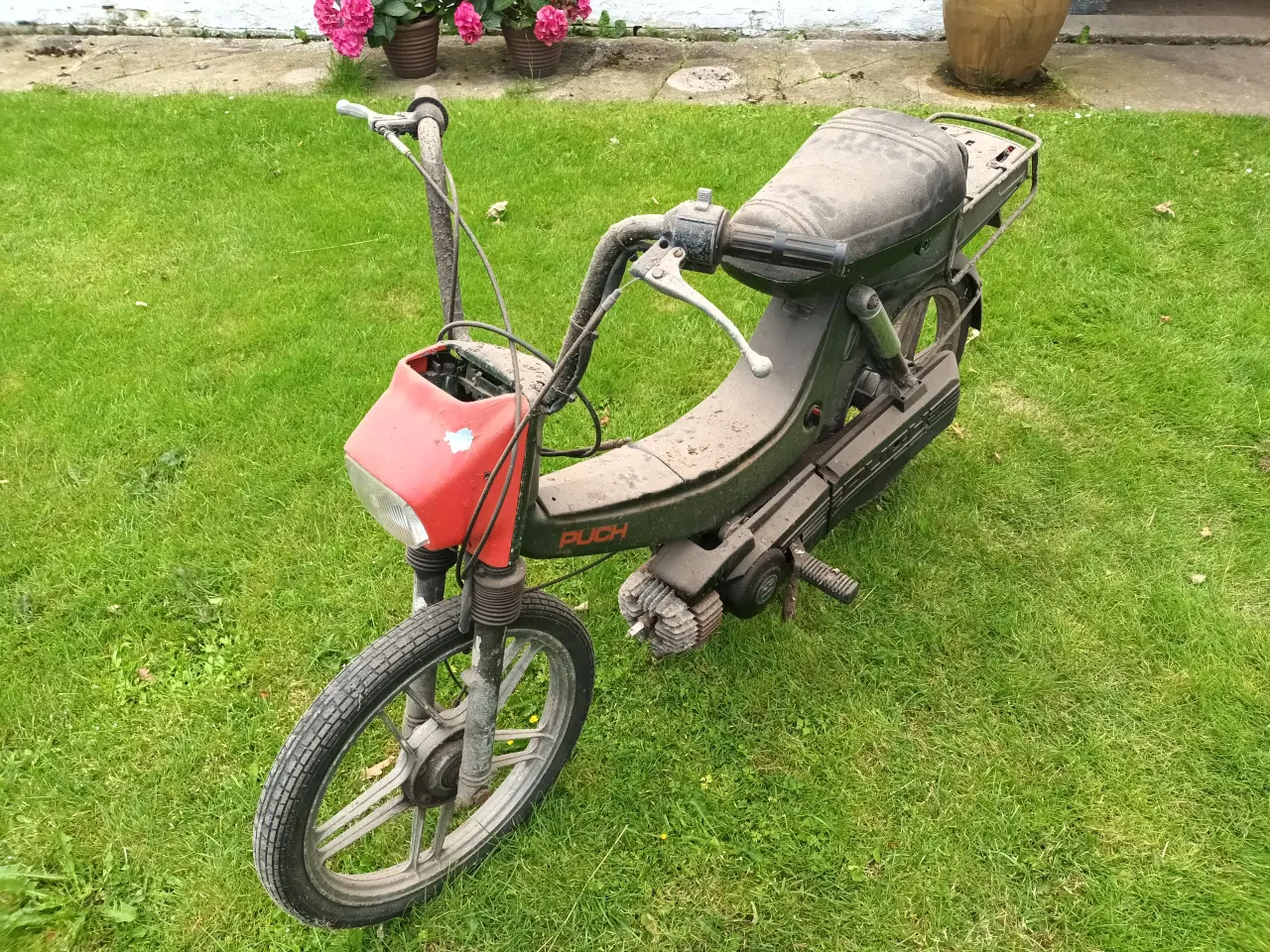 Billede 1 - Puch Maxi 2 Plus, 3 stk