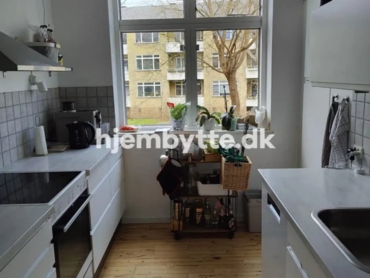 Billede 2 - Hjembytte - Hagavej