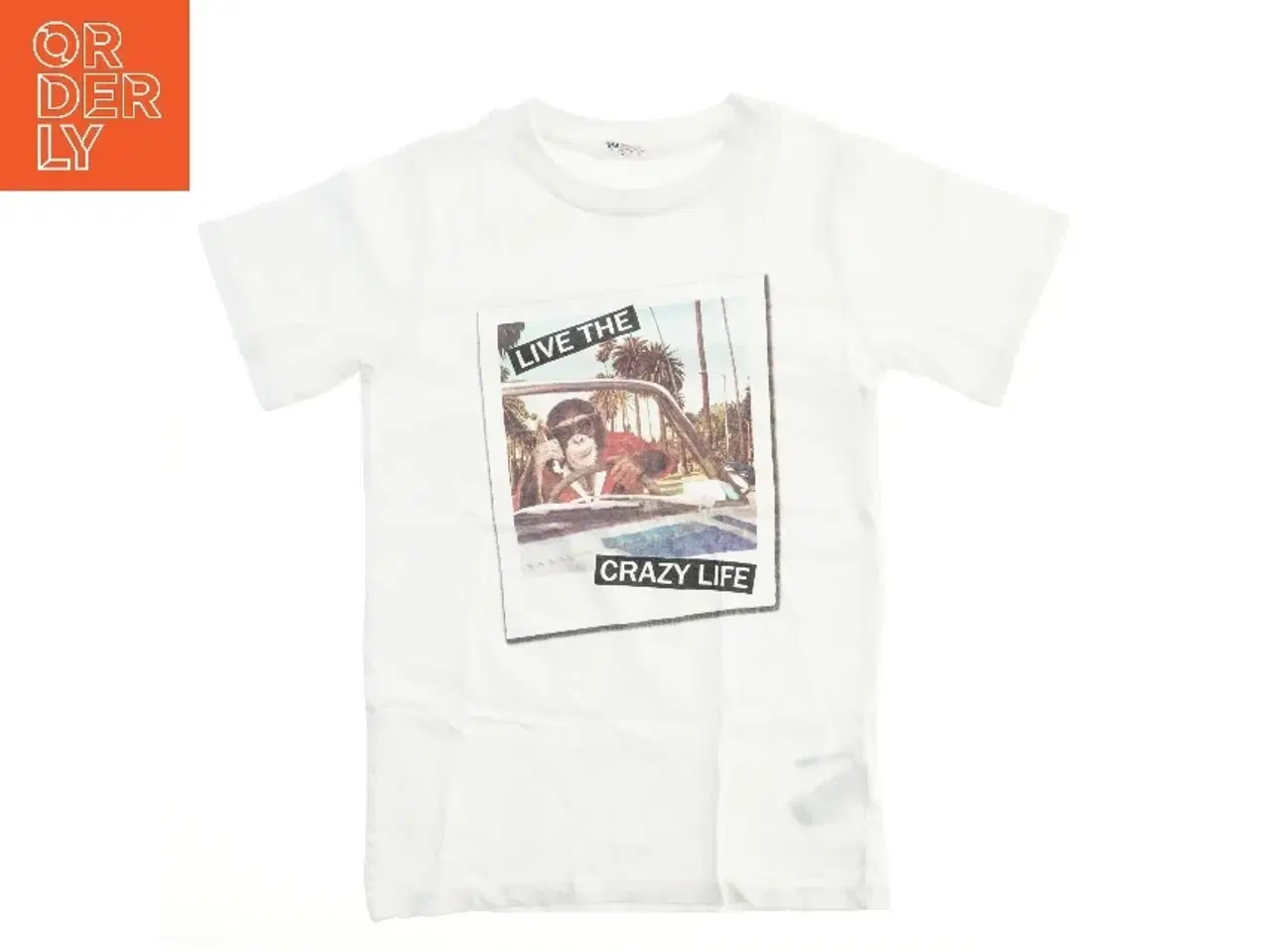 Billede 1 - T-shirt med abe motiv fra H&M (str. 134)