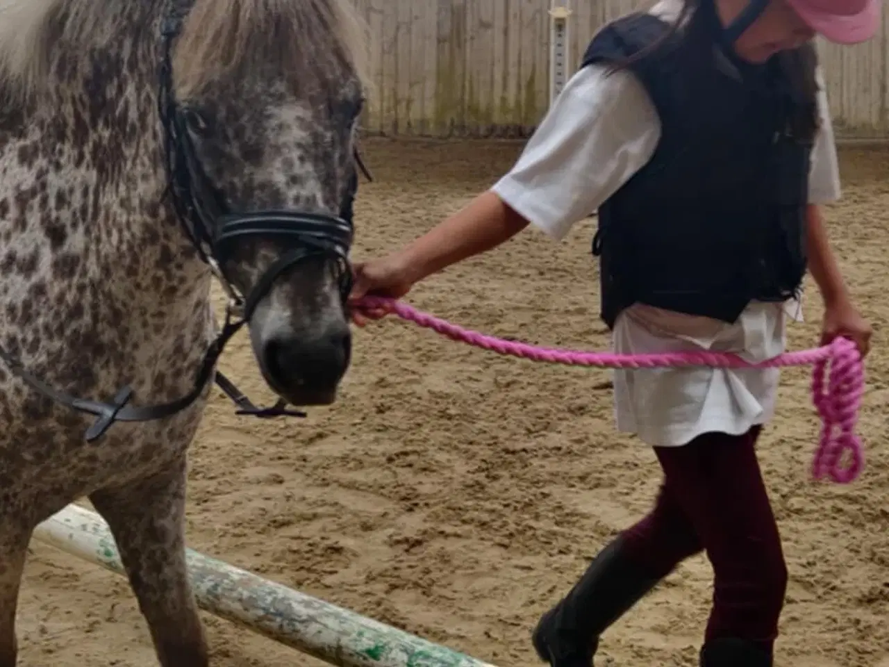 Billede 4 - 3èr pony hoppe