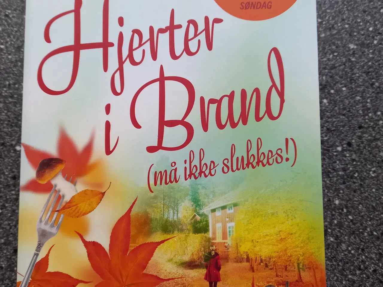 Billede 1 - Hjerter i brand må ikke slukkes - Emma Hamberg