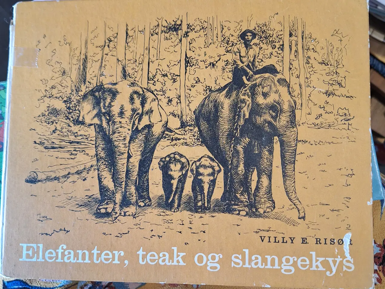 Billede 1 - Elefanter, teak og slangekys