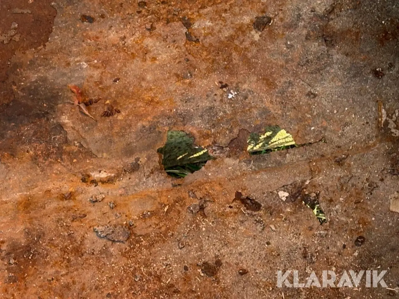 Billede 10 - Affaldscontainer