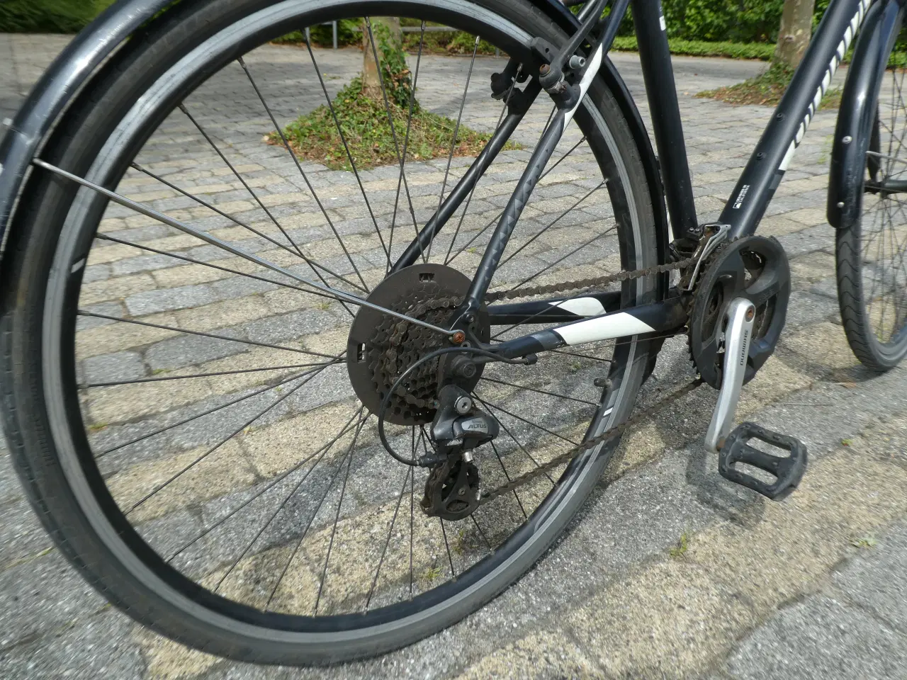 Billede 5 - Specialized herrecykel 